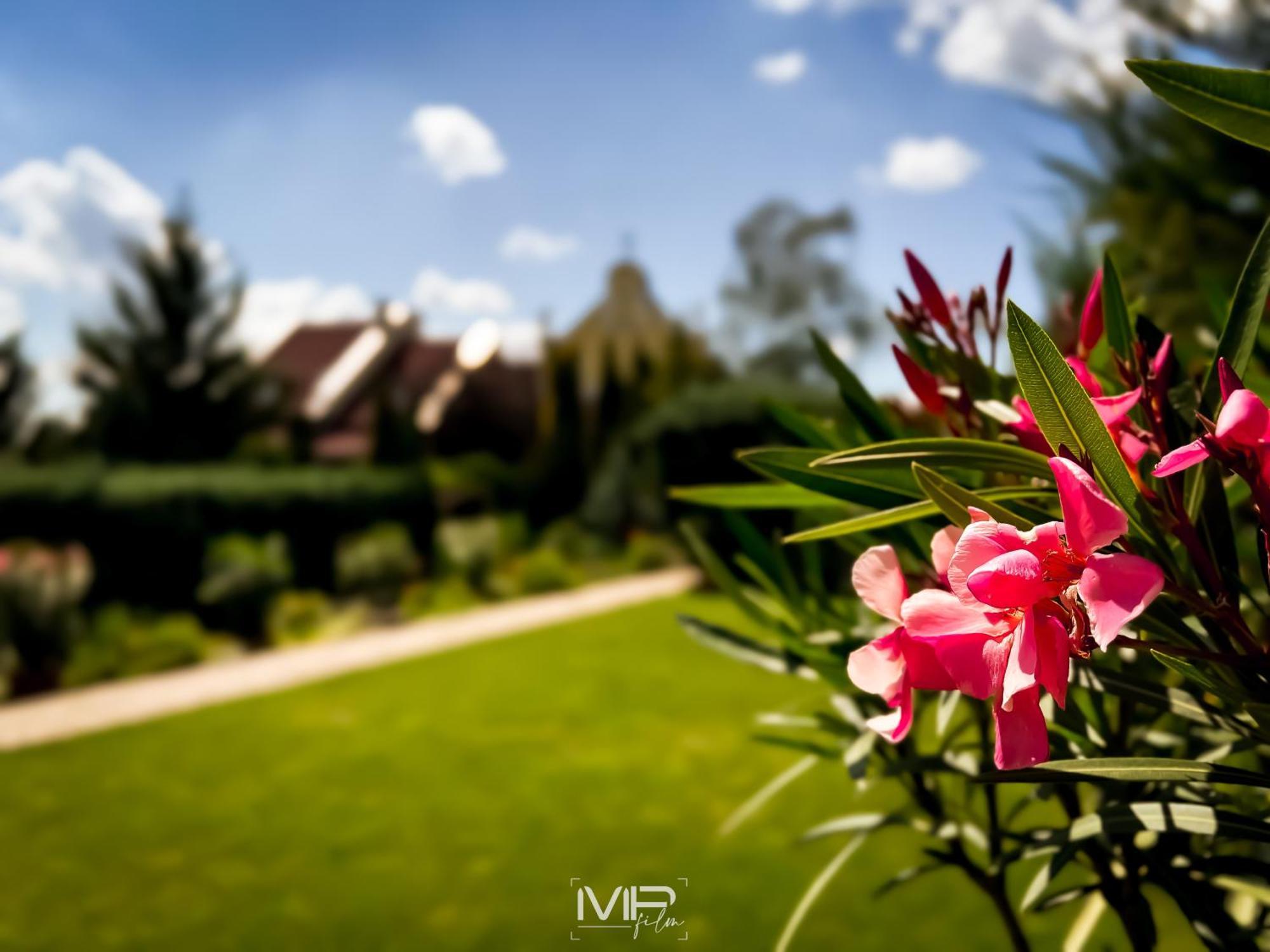 Hotel Szent Istvan เอ็กเกอร์ ภายนอก รูปภาพ